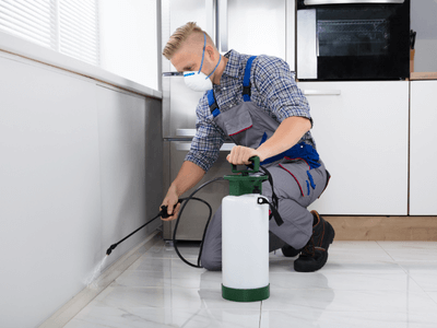 About Craigieburn Pest Control - pest control experts in Craigieburn, Melbourne