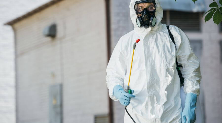 Professional pest control services in Craigieburn, Melbourne